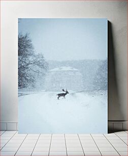 Πίνακας, Deer in Snowy Landscape Ελάφια στο χιονισμένο τοπίο