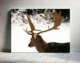 Πίνακας, Deer in Snowy Landscape Ελάφια στο χιονισμένο τοπίο