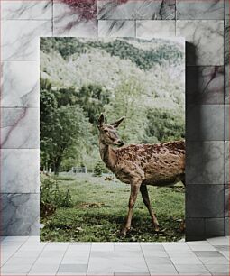 Πίνακας, Deer in the Forest Ελάφια στο δάσος