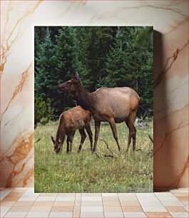 Πίνακας, Deer in the Forest Ελάφια στο Δάσος