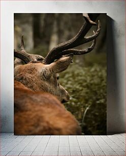 Πίνακας, Deer in the Forest Ελάφια στο Δάσος