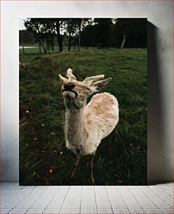 Πίνακας, Deer in the Forest Ελάφια στο Δάσος