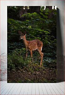 Πίνακας, Deer in the Forest Ελάφια στο Δάσος