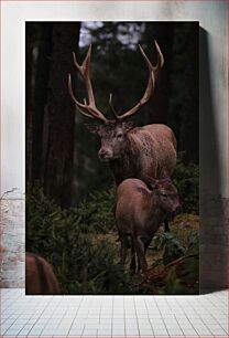 Πίνακας, Deer in the Forest Ελάφια στο Δάσος