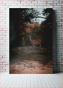 Πίνακας, Deer in the Forest Ελάφια στο Δάσος