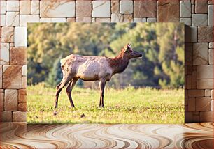 Πίνακας, Deer in the Meadow Ελάφια στο Λιβάδι