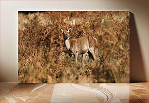 Πίνακας, Deer in the Wild Ελάφια στην άγρια ​​φύση