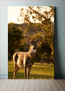 Πίνακας, Deer in the Wild Ελάφια στην άγρια ​​φύση