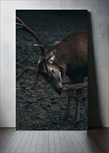 Πίνακας, Deer in the Wild Ελάφια στην άγρια ​​φύση