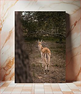 Πίνακας, Deer in the Wilderness Ελάφια στην ερημιά