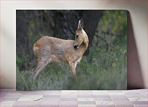 Πίνακας, Deer in the Wilderness Ελάφια στην ερημιά