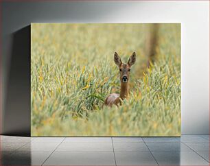 Πίνακας, Deer in Wheat Field Ελάφια στο Σιτάρι