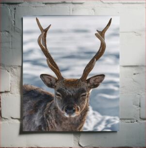Πίνακας, Deer in Winter Ελάφια το Χειμώνα