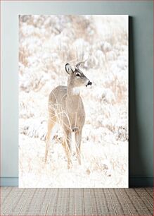 Πίνακας, Deer in Winter Wonderland Ελάφια στη Χώρα των Θαυμάτων του Χειμώνα