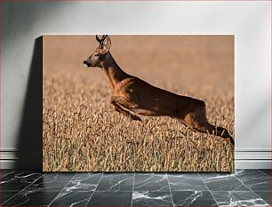 Πίνακας, Deer Leaping in Field Ελάφια που πηδούν στο χωράφι