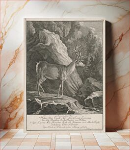 Πίνακας, Deer of francis lactans, Johann Elias Ridinger