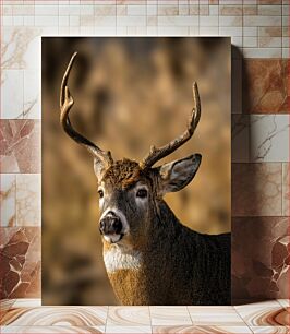 Πίνακας, Deer Portrait in Natural Habitat Πορτρέτο ελαφιού σε φυσικό βιότοπο