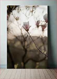 Πίνακας, Delicate Blossom Λεπτό άνθος