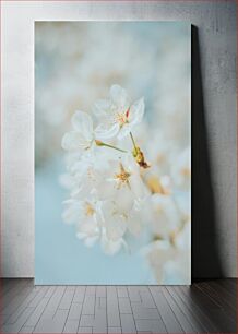 Πίνακας, Delicate Blossoms Λεπτά άνθη