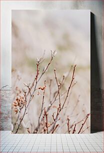 Πίνακας, Delicate Branches with Buds Λεπτά κλαδιά με μπουμπούκια