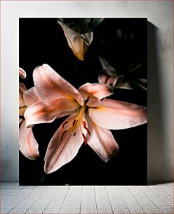Πίνακας, Delicate Lilies in Focus Λεπτά κρίνοι στο επίκεντρο