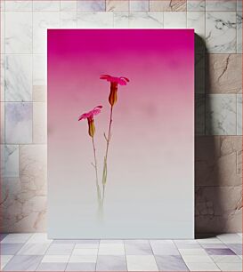 Πίνακας, Delicate Pink Blooms Λεπτά ροζ άνθη