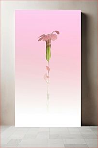 Πίνακας, Delicate Pink Floral Reflection Λεπτή ροζ αντανάκλαση