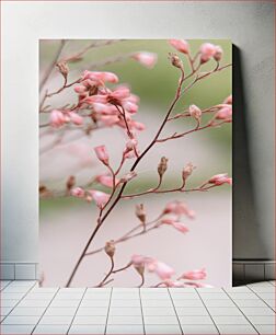 Πίνακας, Delicate Pink Flowers Λεπτά ροζ λουλούδια