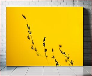 Πίνακας, Delicate Stems Against Yellow Λεπτά στελέχη κατά του κίτρινου