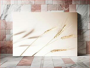 Πίνακας, Delicate Wheat Stalks Λεπτά κοτσάνια σίτου