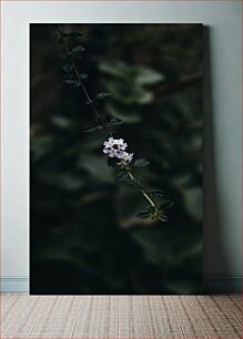 Πίνακας, Delicate White Blossoms Λεπτά λευκά άνθη