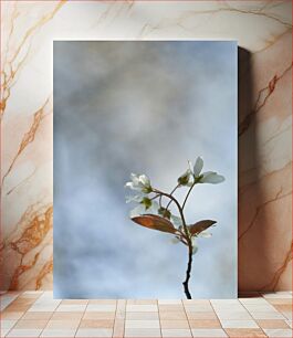 Πίνακας, Delicate White Flowers Against a Blurred Background Λεπτά λευκά λουλούδια σε θολό φόντο