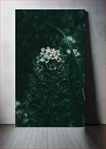 Πίνακας, Delicate White Flowers Λεπτά λευκά λουλούδια