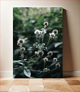 Πίνακας, Delicate Wildflowers Λεπτά αγριολούλουδα