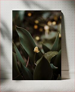 Πίνακας, Delicate Yellow Flower in Focus Λεπτό κίτρινο λουλούδι στο επίκεντρο