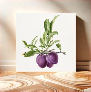 Πίνακας, Delicious purple plum in a branch illustration