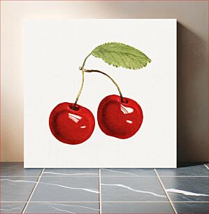 Πίνακας, Delicious red cherries illustration