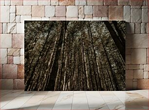 Πίνακας, Dense Forest Πυκνό Δάσος
