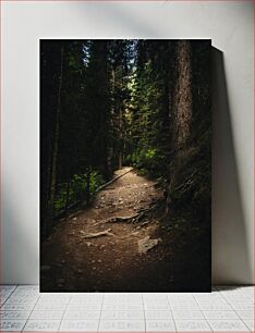 Πίνακας, Dense Forest Path Πυκνό δασικό μονοπάτι