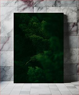 Πίνακας, Dense Green Foliage Πυκνό πράσινο φύλλωμα