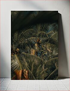 Πίνακας, Dense Palm Forest Πυκνό Φοινικόδασος