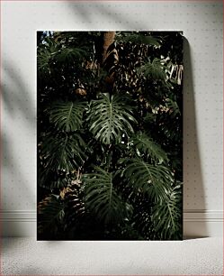 Πίνακας, Dense Tropical Foliage Πυκνό τροπικό φύλλωμα