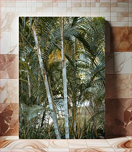 Πίνακας, Dense Tropical Plants Πυκνά τροπικά φυτά