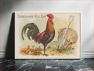 Πίνακας, Derbyshire Red Cap, from the Prize and Game Chickens series (N20) for Allen & Ginter Cigarettes