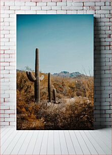 Πίνακας, Desert Cacti under Clear Sky Κάκτοι της ερήμου κάτω από τον καθαρό ουρανό