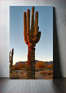 Πίνακας, Desert Cactus at Sunset Κάκτος της ερήμου στο ηλιοβασίλεμα