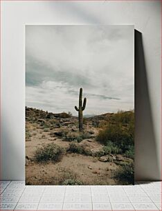Πίνακας, Desert Cactus Landscape Τοπίο κάκτων της ερήμου