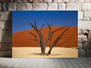 Πίνακας, Desert Dunes and Withered Tree Αμμόλοφοι της ερήμου και μαραμένο δέντρο