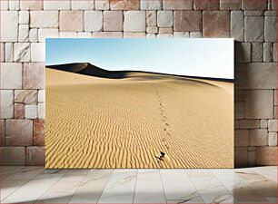 Πίνακας, Desert Footprints Ίχνη ερήμου