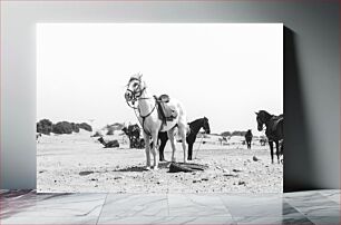 Πίνακας, Desert Horses Άλογα της ερήμου